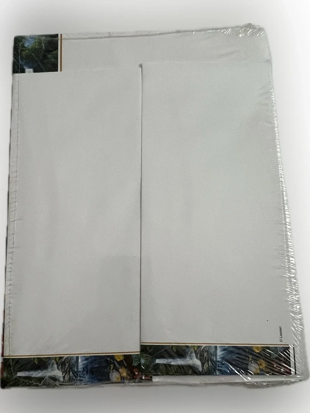 🔴The Art of Lassen Designer Scenic Printer Paper Envelopes Craft Printer Paper